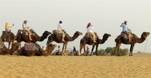 camellos dunas Sahara